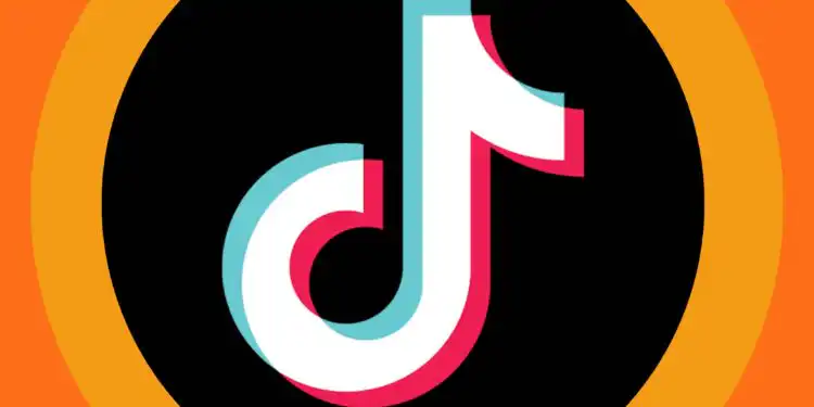 TV Zimbo no Tik Tok