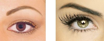 Desastre Com Suas Sobrancelhas