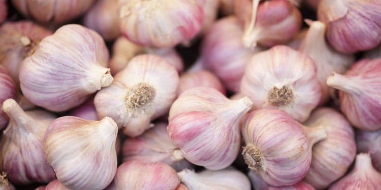 É por isso que você deve dormir com um dente de alho embaixo do travesseiro