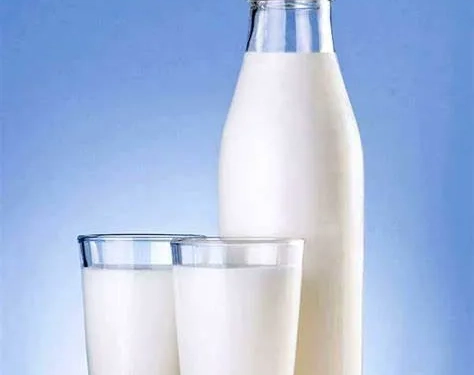 Beber leite é bom para a saúde? Descubra o que dizem os especialistas