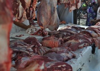 Restos de Carne a Venda