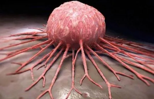 Conferência de Oncologia