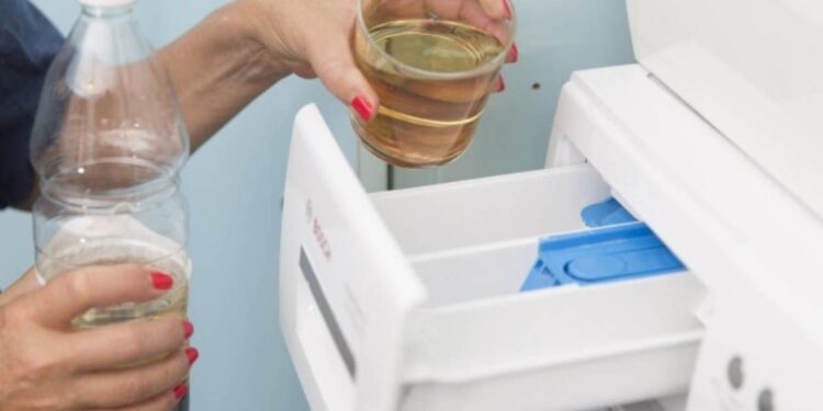 8 razões pelas quais você deve adicionar vinagre branco à sua roupa.