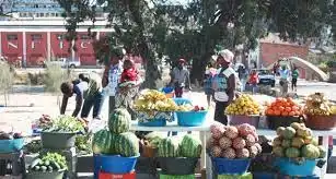 Produtos do Campo