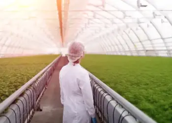 Produção Agropecuária/Huíla