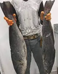 Polo Turístico de Cabo Ledo