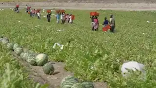 Fórum de Comércio Angola – RDC