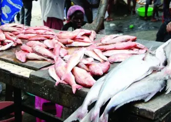 Baía Farta em Benguela