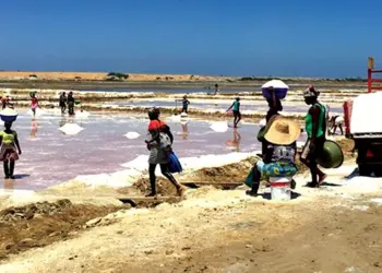 Sal Sem Valor e Prejudicial em Benguela