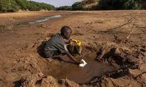 Unicef