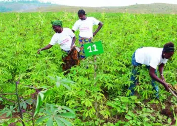 4º Fórum do Jovem Camponês
