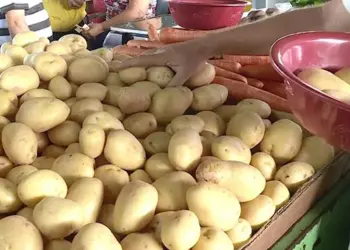 Segurança Alimentar na Huíla