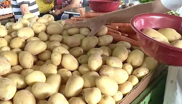 Segurança Alimentar na Huíla