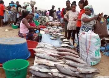 Asseguramento da Quadra Festiva