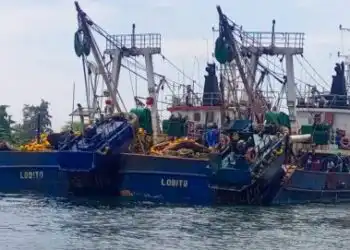 Escassez de Pescado