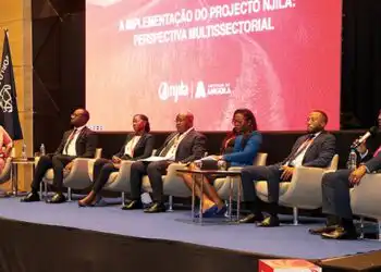 Projecto Njila