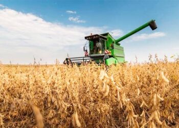 Produção Nacional/Cuanza – Norte