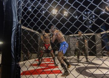 Governo Provincial de Luanda