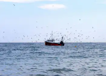 Pesca Ilegal/Luanda