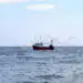 Pesca Ilegal/Luanda