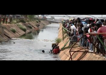 Administração Municipal de Viana