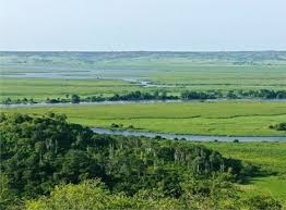 Fiscais das áreas de conservação ambiental
