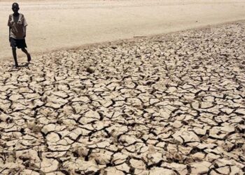 Combate à seca em Angola