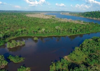 Mercado de carbono no país