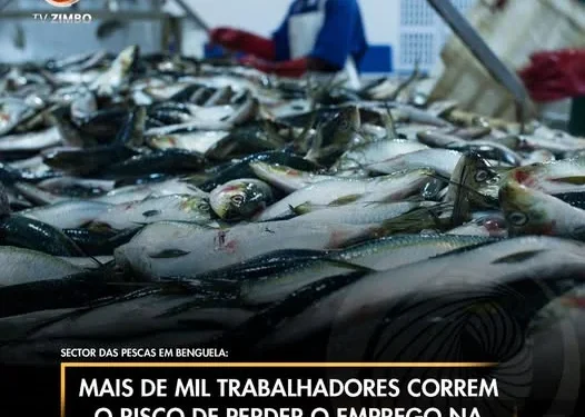 Mais de mil trabalhadores correm o risco de perder o emprego na Baía Farta