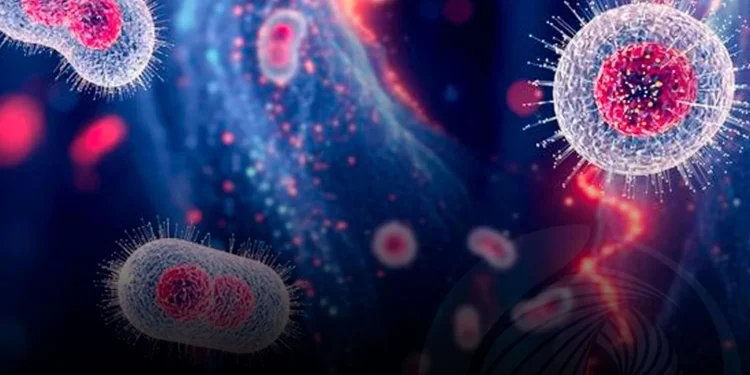 Casos de VIH, Mpox e Malária reduziram em 2024