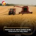Produção de arroz atinge 50 mil toneladas em dois anos.