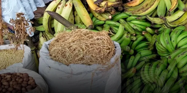 Luanda e Benguela são os principais destinos dos produtos agrícolas do Bié