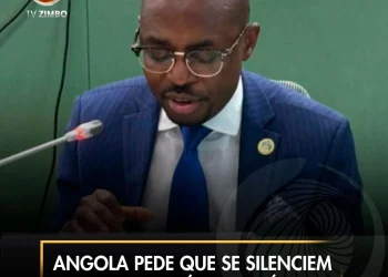 Angola pede que se silenciem as armas em África até 2030