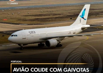 Avião colide com gaivotas e pousa de emergência