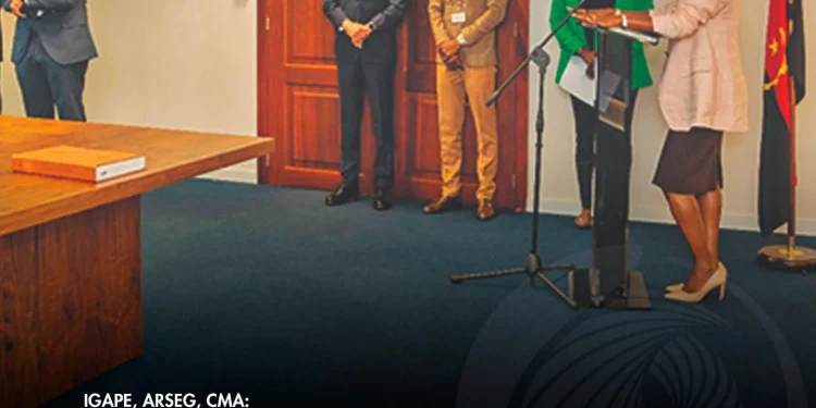 Ministra das Finanças quer mais pragmatismo nas equipas