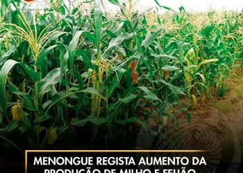 Menongue regista aumento da produção de milho e feijão