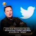 Elon Musk processado por não ter divulgado compra antecipada de acções do “Twitter”