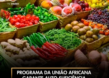 Programa da União Africana garante auto-suficiência alimentar