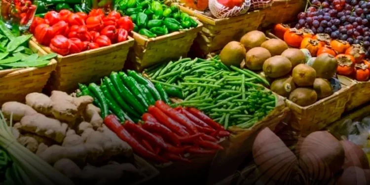 Programa da União Africana garante auto-suficiência alimentar