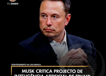 Musk critica projecto de inteligência artificial de Trump.