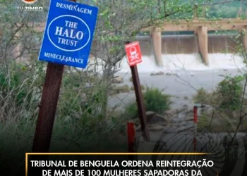 Tribunal de Benguela ordena reintegração de mais de 100 mulheres sapadoras da “Halo Trust”