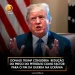 Donald Trump considera redução do preço do petróleo como factor para o fim da guerra na Ucrânia