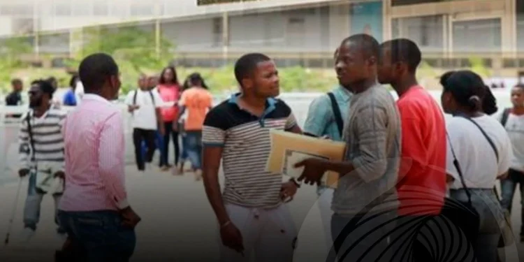 Governos do Japão e do Egipto disponibilizam bolsas de estudo para estudantes africanos.