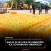 Mais de 30 mil litros de combustível por contrabando apreendidos