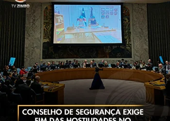 Conselho de Segurança exige fim das hostilidades no Leste da RDC