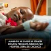 Aumento de casos de câncer infantil preocupa médicos no Hospital Geral de Cacuaco