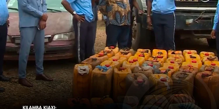 Desmantelado estaleiro clandestino de contrabando de combustível