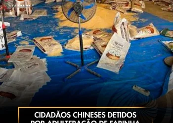 Cidadãos chineses detidos por adulteração de farinha de milho