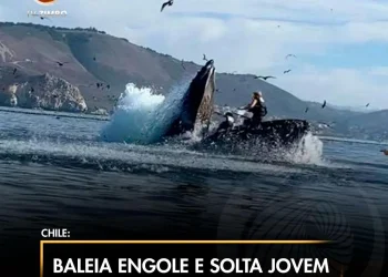 Baleia engole e solta jovem que praticava caiaque