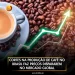 Cortes na produção de café no Brasil faz preços dispararem no mercado global
